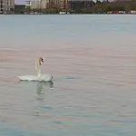 Balaton&center Wellness *