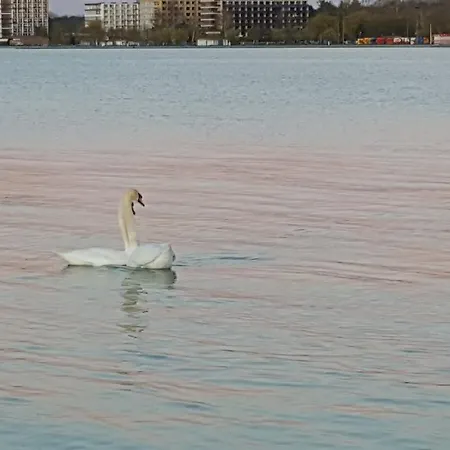 Balaton&center Wellness *