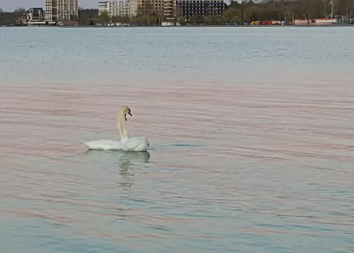 Balaton&center Wellness *